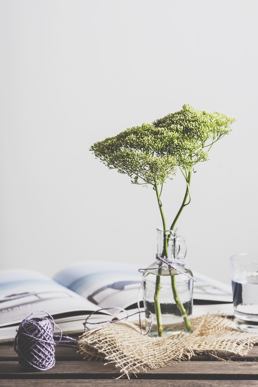 still, items, things-2609317.jpg